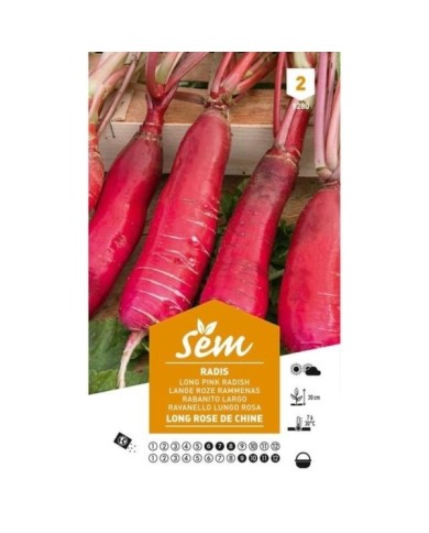 Radis de Chine (sachet)