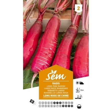 Radis de Chine (sachet)