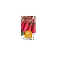 Radis de Chine (sachet)