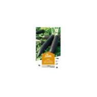 Radis gros long d'hiver (sachet)