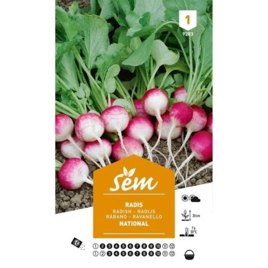 Radis National rond Rose et blanc (sachet)