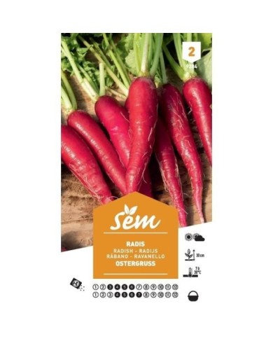 Radis Ostergruss (sachet)