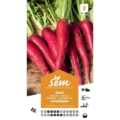 Radis Ostergruss (sachet)