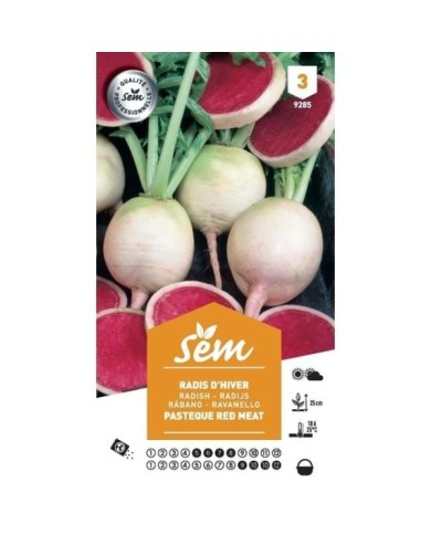 Radis pastèque Red Meat (sachet)