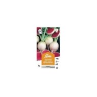 Radis pastèque Red Meat (sachet)