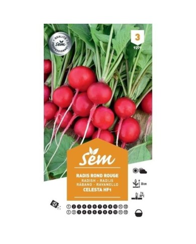 Radis rond rouge Celesta F1 (sachet)