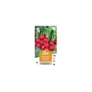 Radis rond rouge Celesta F1 (sachet)