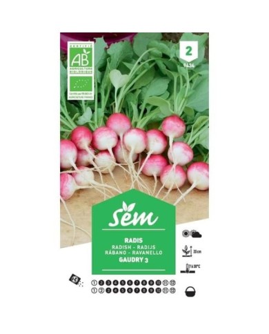 Radis Gaudry 3 Bio (sachet)