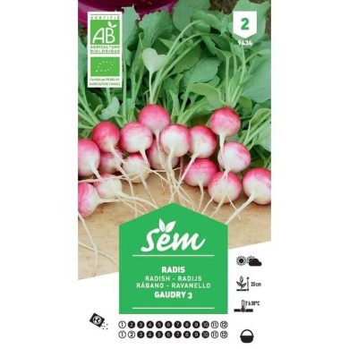 Radis Gaudry 3 Bio (sachet)