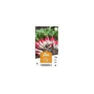 Radis de 18 jours XXL (sachet)