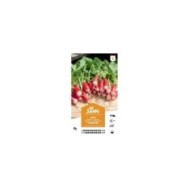 Radis Flamboyant XXL (sachet)