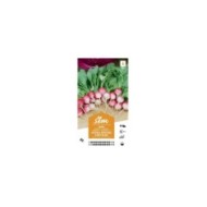 Radis National rond rose et blanc XXL (sachet)