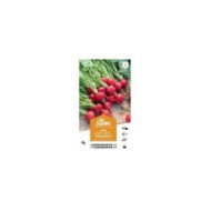 Radis rond écarlate Saxa XXL (sachet)