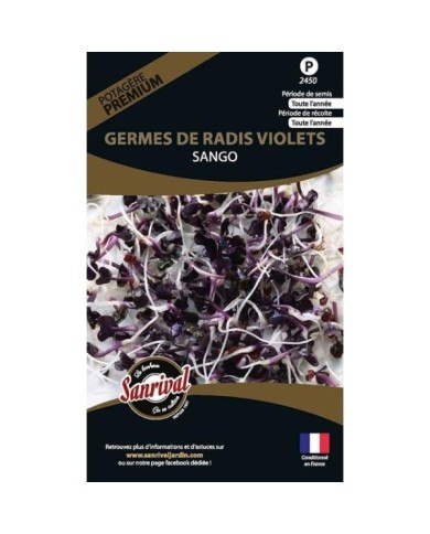 Germes de radis violets Sango (sachet)