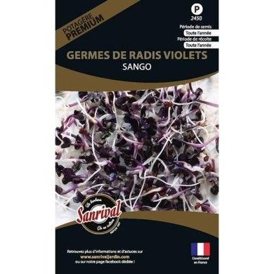 Germes de radis violets Sango (sachet)