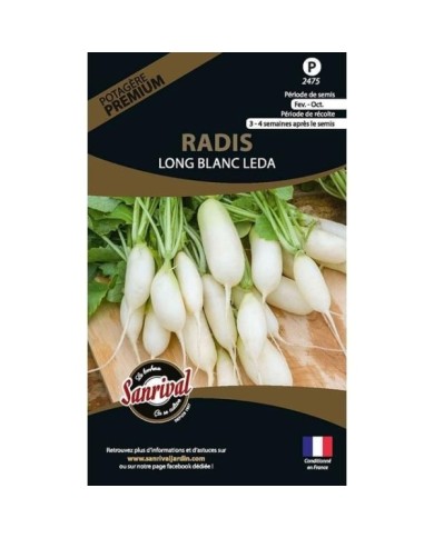Radis Long blanc Leda (sachet)