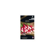 Radis Diablus HF1 (sachet)