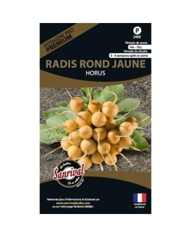 Radis rond jaune Horus (sachet)