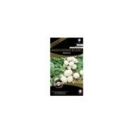 Radis rond blanc angelus (sachet)