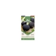 Radis noir Rond d'Hiver