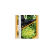 Radis noir et chicorée frisée en rubans