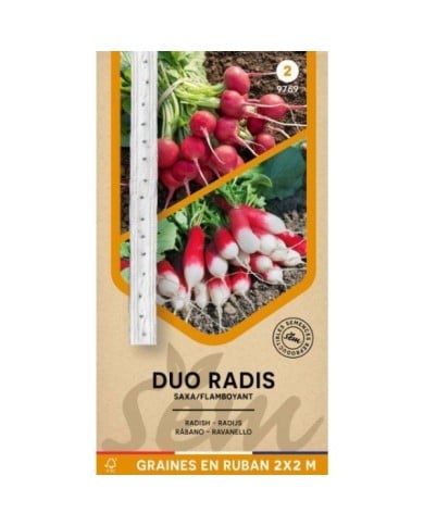 Duo de radis en rubans