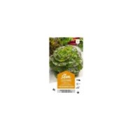 Laitue Passion brune d’Hiver (sachet)