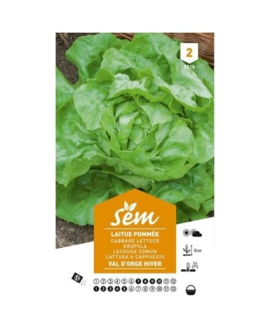 Laitue pommée Val d’Orge Hiver (sachet)
