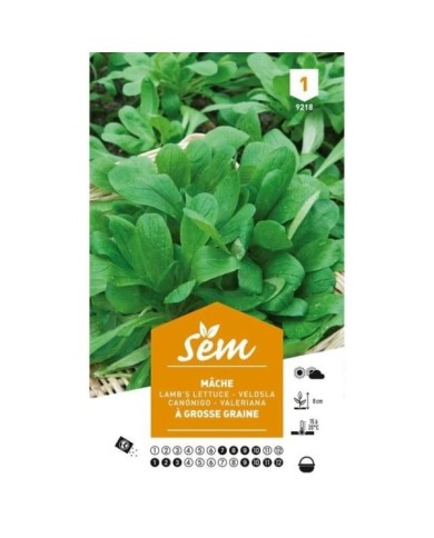 Mâche à grosse graine (sachet)