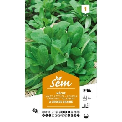 Mâche à grosse graine (sachet)