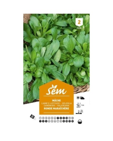 Mâche ronde maraîchère (sachet)