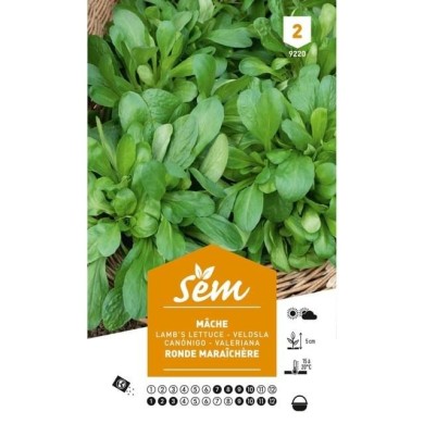 Mâche ronde maraîchère (sachet)