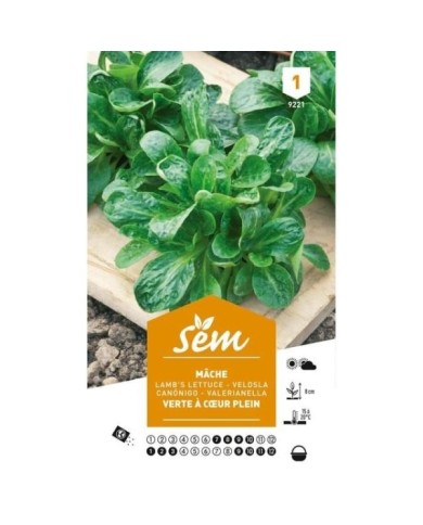 Mâche verte à coeur plein (sachet)