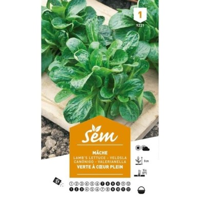 Mâche verte à coeur plein (sachet)
