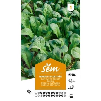 Roquette cultivée (sachet)