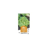 Laitue Verpia (sachet)