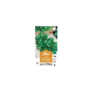 Mâche verte de Cambrai (sachet)