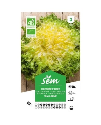 Chicorée frisée Wallonne Bio (sachet)