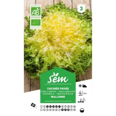 Chicorée frisée Wallonne Bio (sachet)