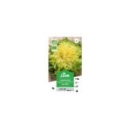 Chicorée frisée Wallonne Bio (sachet)