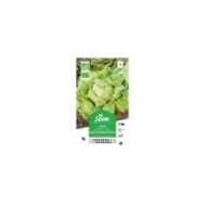 Laitue Batavia blonde de Paris Bio (sachet)