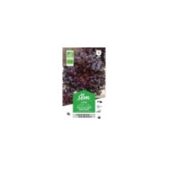Laitue feuille de chêne rouge Bio (sachet)