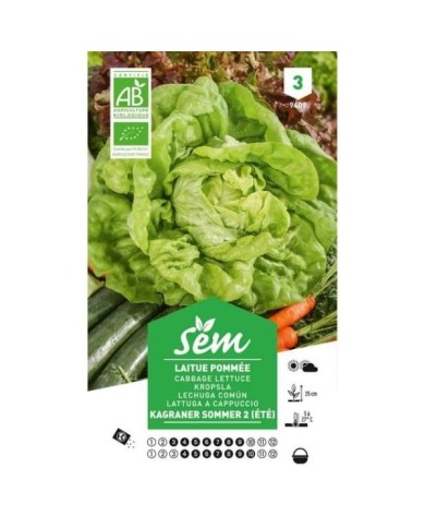 Laitue Kagraner Sommer 2 Bio (sachet)