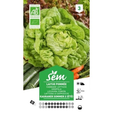 Laitue Kagraner Sommer 2 Bio (sachet)