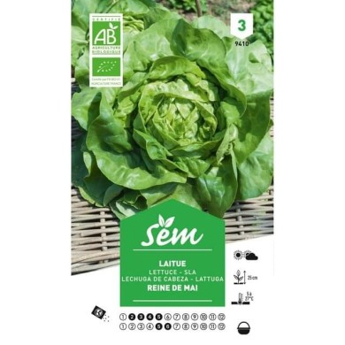 Laitue Reine de Mai Bio (sachet)
