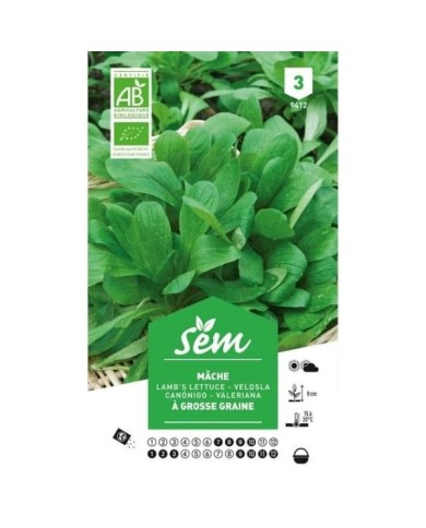 Mâche à grosses graines Bio (sachet)
