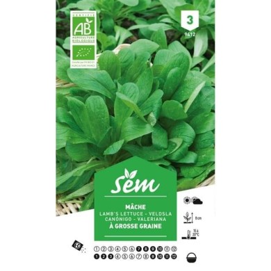Mâche à grosses graines Bio (sachet)