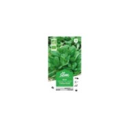 Mâche à grosses graines Bio (sachet)