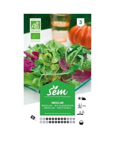 Mesclun Bio (sachet)