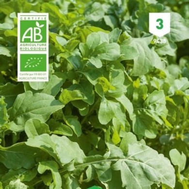 Roquette cultivée Bio